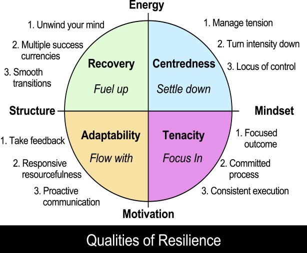 Qualities of Resilience